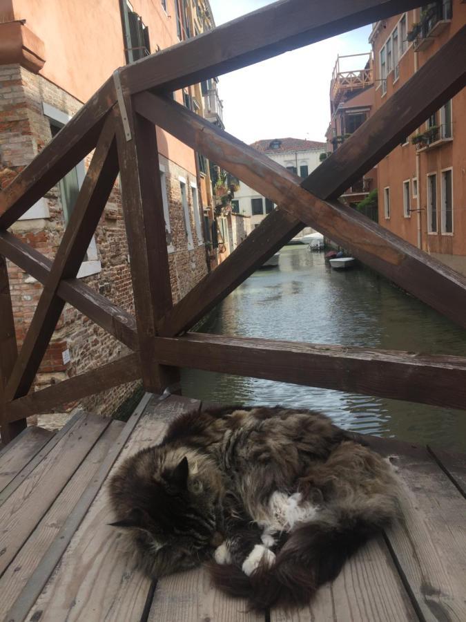 Tintoretto Vista Real 베니스 외부 사진